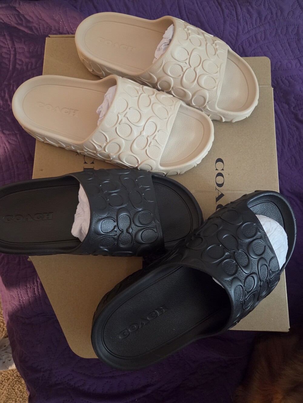 Coach Women's Embossed Monogram Slide Sandals in Black and Cream Size10